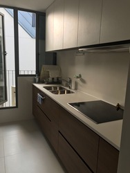 The Miltonia Residences (D27), Condominium #161641982